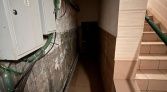 Фото-анонс объекта Веерная ул, 24А № 25 | KNRU.ru