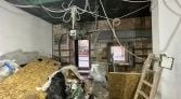 Фото-анонс объекта Малый Кисловский пер, 3 № 2 | KNRU.ru