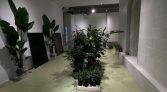 Фото-анонс объекта Мясницкая ул, 24/7стр1 № 11 | KNRU.ru