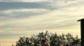 Фото-анонс объекта Профсоюзная ул, 34 № 7 | KNRU.ru